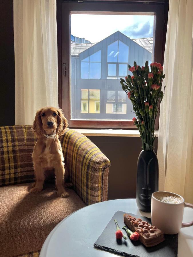Apartament Grand Krupowki 47 Zakopane Buitenkant foto